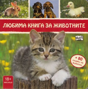 Любима книга за животните - коте