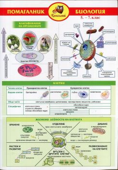 Помагалник по биология за 5.-7. клас - Домино - 9789546513007 - Онлайн книжарница Ciela | Ciela.com