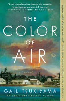 The Color of Air - A Novel