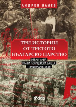 Три истории от Третото българско царство - Онлайн книжарница Сиела | Ciela.com